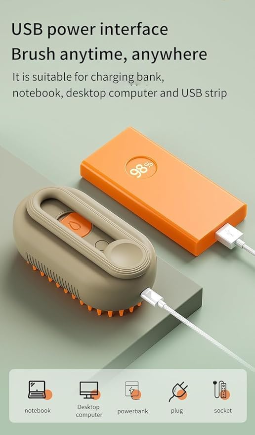 Brosse de massage électrique avec poignée de pulvérisation