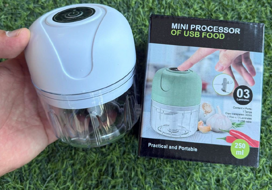 Mini Hachoir Mixeur Rechargeable Avec Câble USB 250 ML