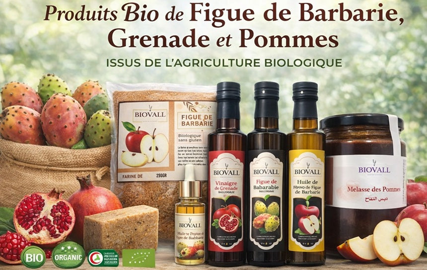 Vinaigre de figue de barbarie Biologique